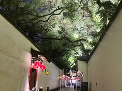 -三坊七巷历史文化街区