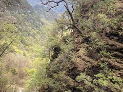 -神农架景区