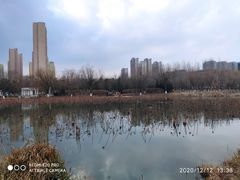 -前关湿地公园