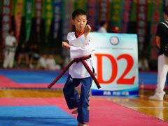 -陈中跆拳道(中关村馆)