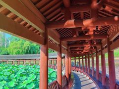 -龙头寺公园