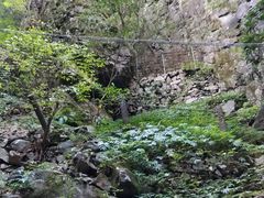 -藏龙百瀑风景区