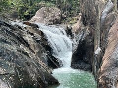 -广州白江湖森林公园