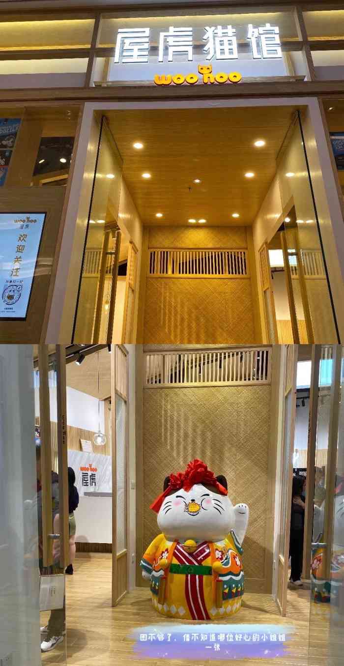 屋虎猫馆宝安大仟里店