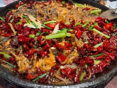 -老板恋上鱼(高新万达店)