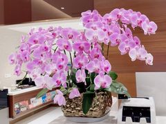 -TSK齿科德申会口腔门诊·联洋诊所