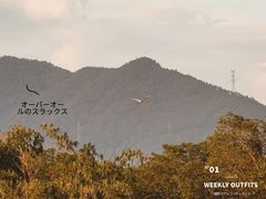 -福建鲤鱼洲酒店