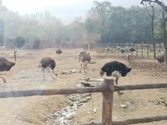 -西安秦岭野生动物园