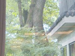 -浙江西子宾馆·瑶园咖啡厅