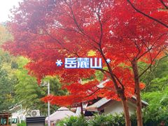 -岳麓山风景名胜区