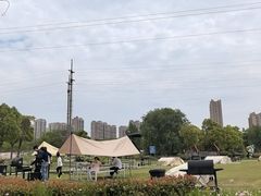 -菊园百果园