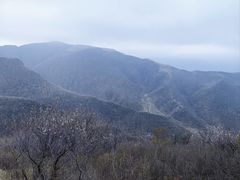 -灵山