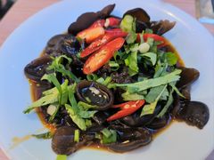 -探窝·竹笙椰子鸡(杨箕店)