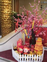 -天津伊美尔医疗整形美容专科医院