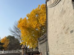 -菊儿人家·北京胡同菜(南锣鼓巷店)