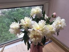 -三圣花乡旅游区