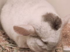 -龙猫仔乐园(惠福东路店)