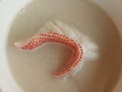 -广州花园酒店·凌璇阁旋转餐厅CAROUSEL360