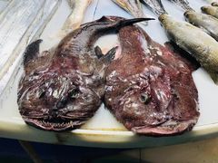 -王四营海鲜市场