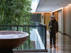 -铁山坪森林公园