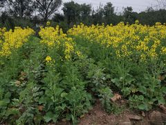 -驿舍·民國老营房院子私房菜(科学会堂店)