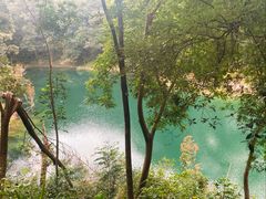 -广州市流溪河国家森林公园