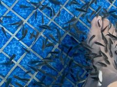 -兴芮温泉度假区