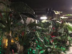 -泉城欧乐堡戏水湾艺术养生温泉