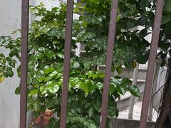 -恒记金煎包(指南里小区店)