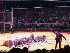 -西安秦岭野生动物园