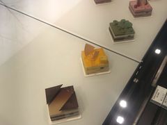 -BLACKSWAN黑天鹅(环球店)