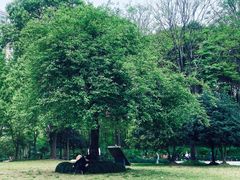 -苏州河梦清园环保主题公园