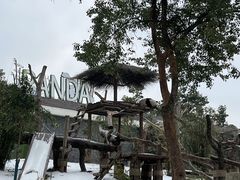 -武汉动物园