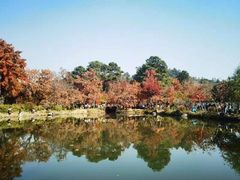 -东山风景区(洞庭东山)