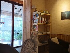 -隅cafe(傅厚岗店)