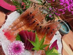 -和创柚子·会席日本料理(新区淮海街店)