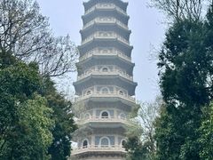 -灵谷景区