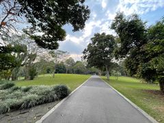 -中国科学院西双版纳热带植物园