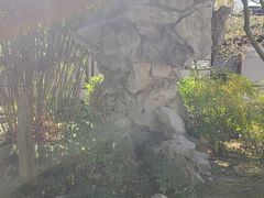 -上海醉白池公园