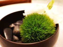 -成都尼依格罗酒店