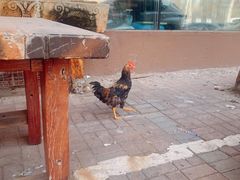 -一桶江山餐厅(松北店)