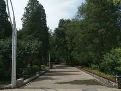 -青城公园