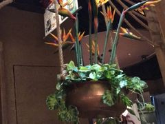 -云海肴·云南小炒·汽锅鸡(天津国金汇店)