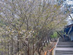 -崂山九水游览区