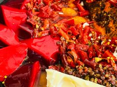 -黄潇洒老火锅(九眼桥宏济巷店)