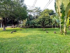 -广州市白云山风景名胜区