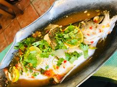 清蒸海鲈鱼-Doo Dee Thai Food(Issan/Isaan/Esan)