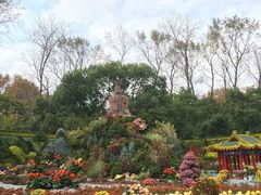 -共青国家森林公园-售票处
