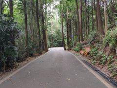 -滴水岩森林公园