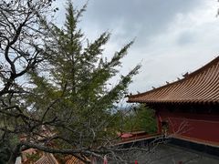 -沂蒙山旅游区云蒙景区(蒙山国家森林公园)
